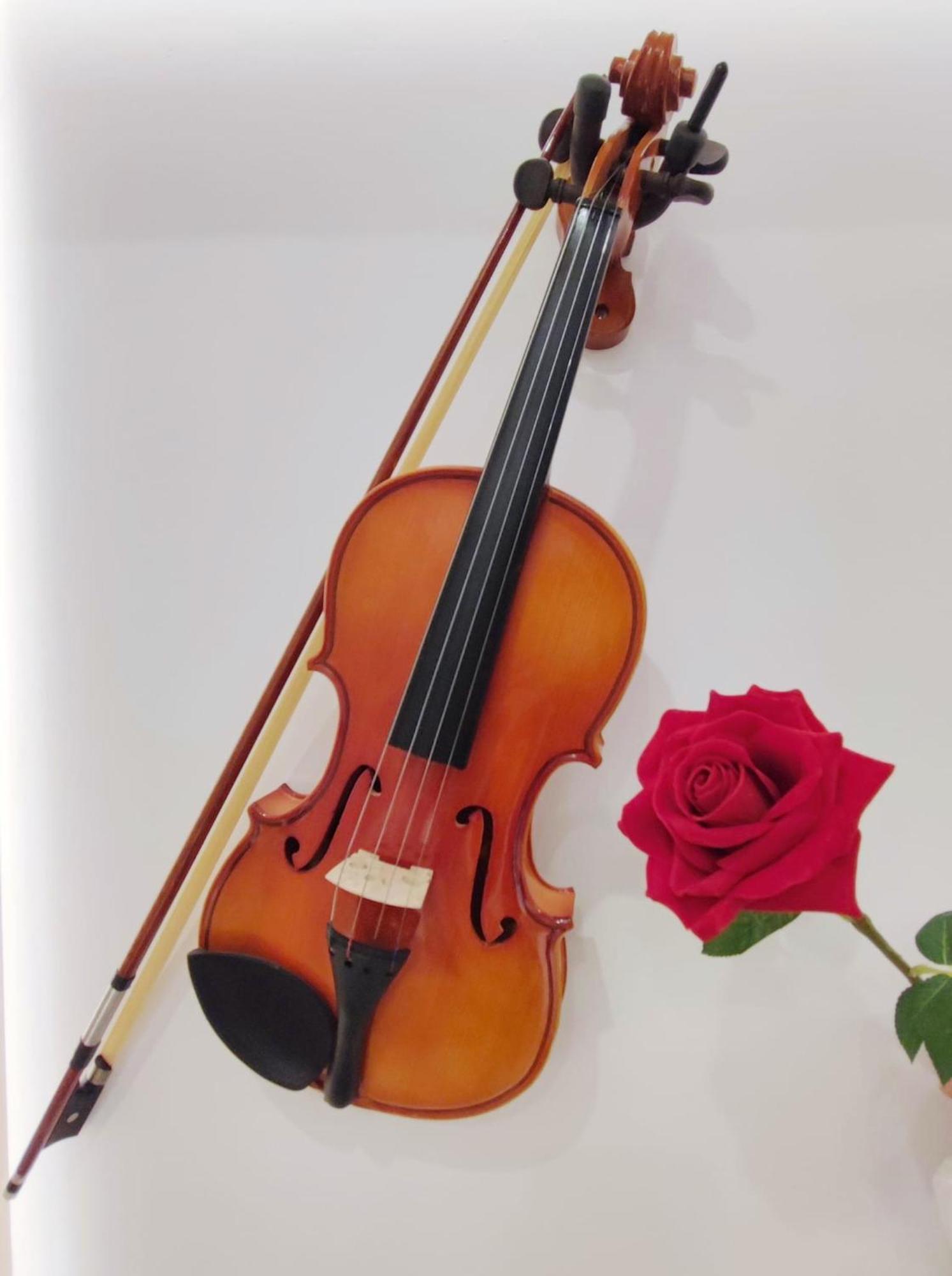 Arena Concert Concerto Love - Historic House Amorino At "Palazzo Tiolo" Palace Verona Bagian luar foto